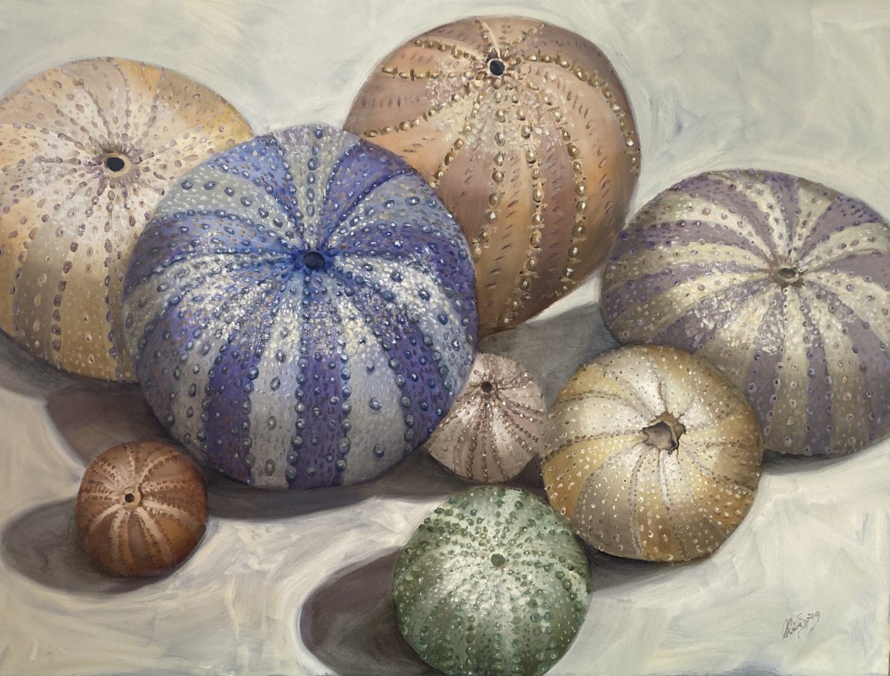 Sea Urchins Revealed $2900 by Claire Spring